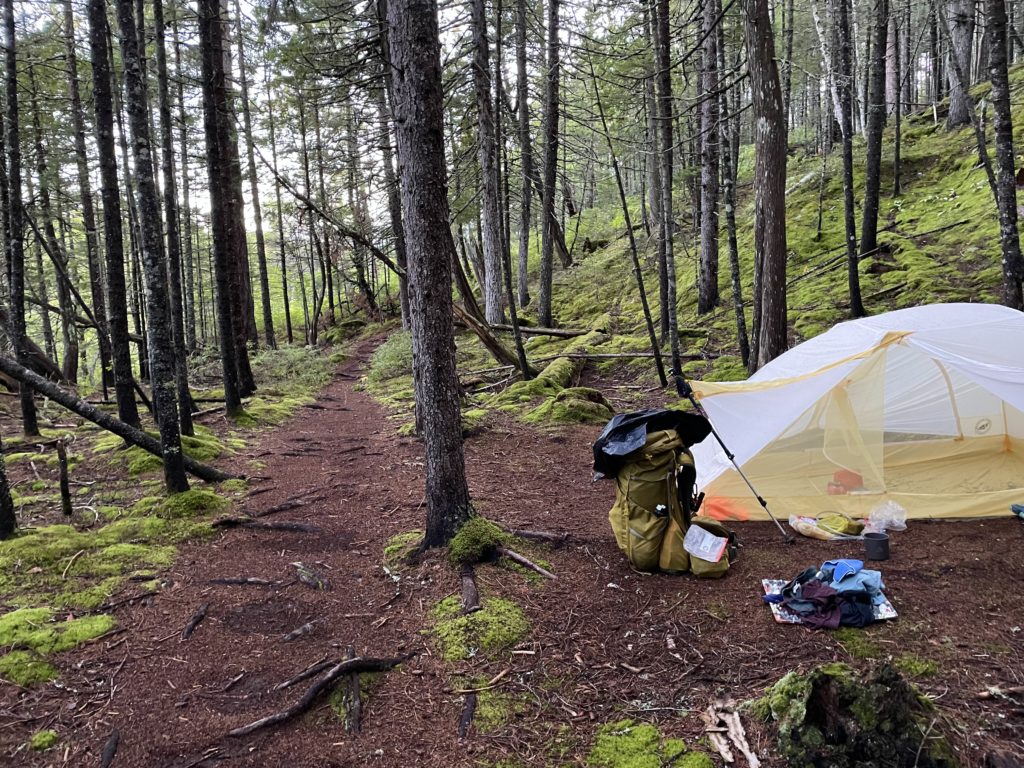 Ultralight tent on the edge of the Appalachian Trail in Maine's 100 Mile Wilderness