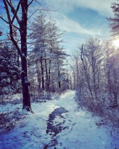 A beautiful winter scene and hiking trail in Maine