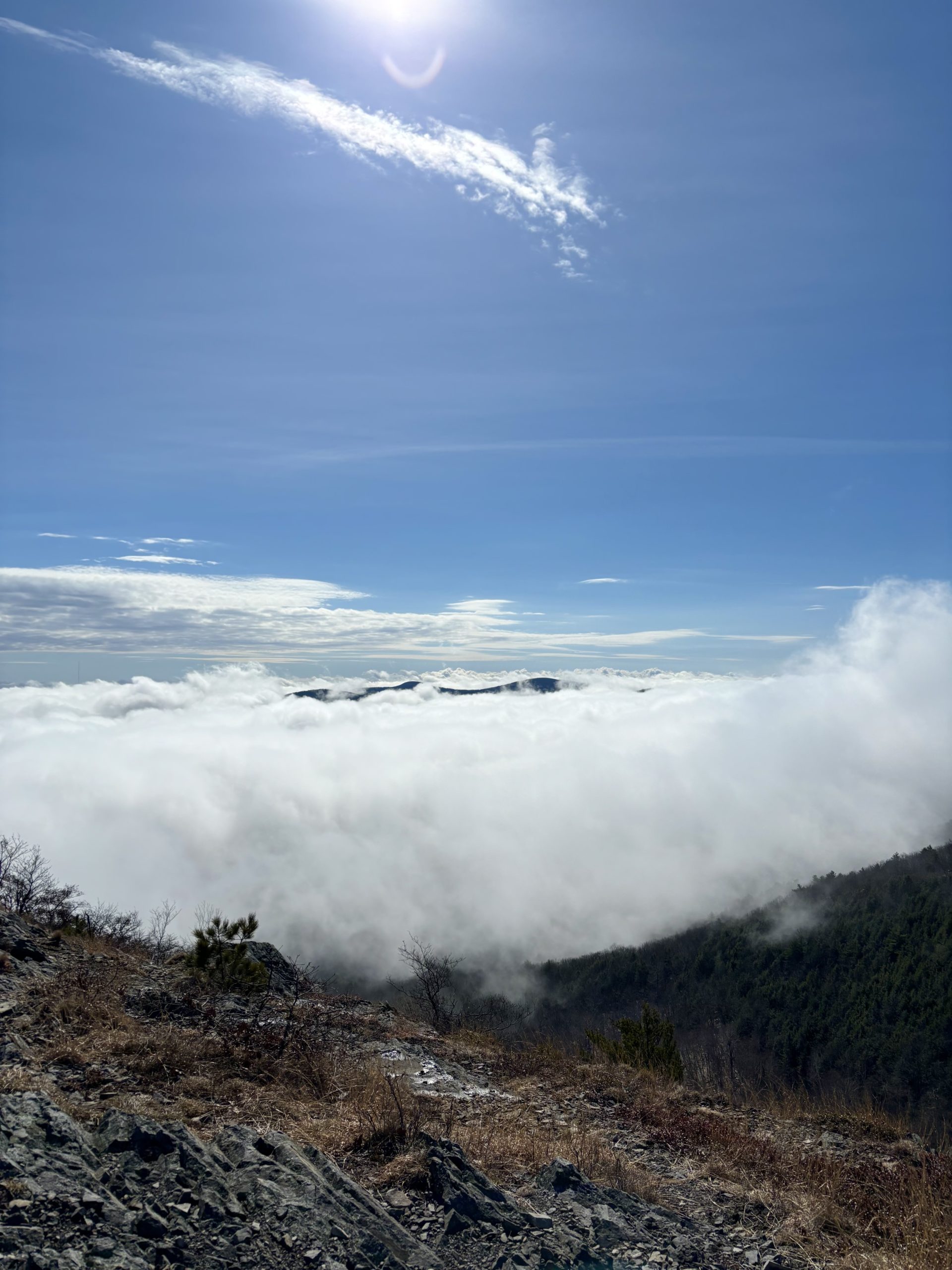 Burnt Meadow & Stone Mtn | 1624 ft | ME - She Hikes Mountains