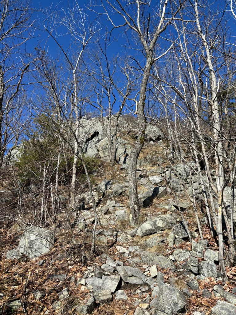 Looking up at a rock scramble near the summit of North Peak, Burnt Meadow Mountain, Maine