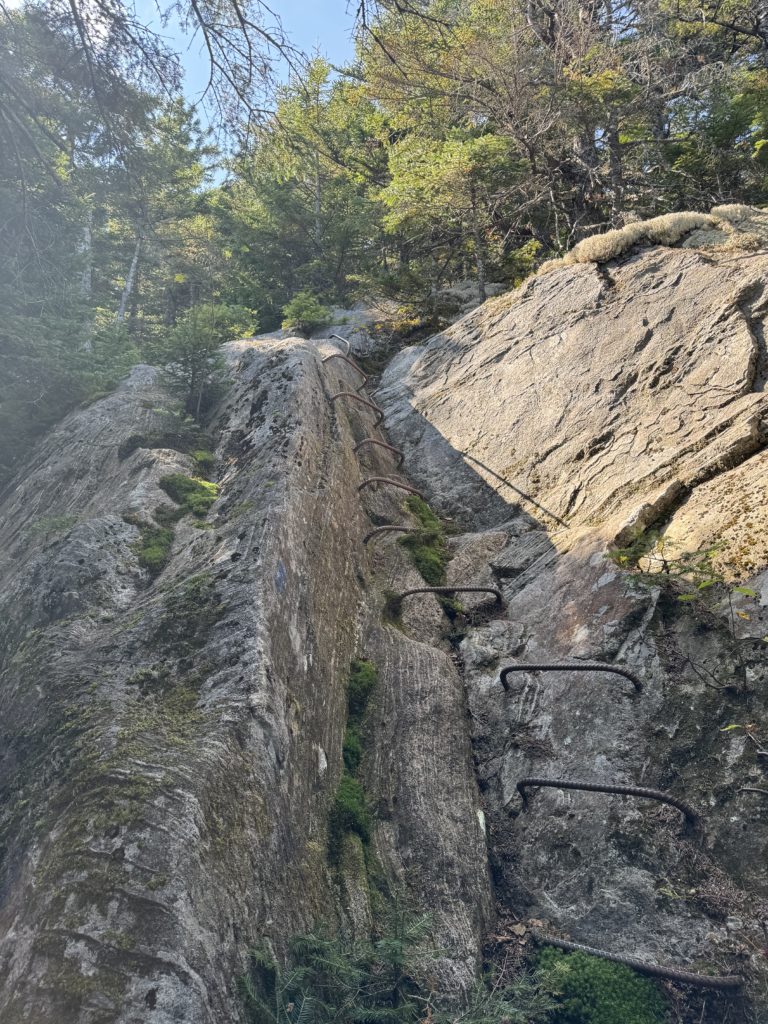 Rungs on the trail, Grafton Loop Trail, Grafton Notch, Maine