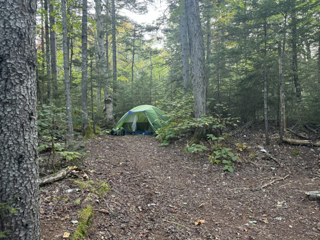 Tent at Lane Tentsite, Grafton Loop Trail, Grafton Notch, Maine