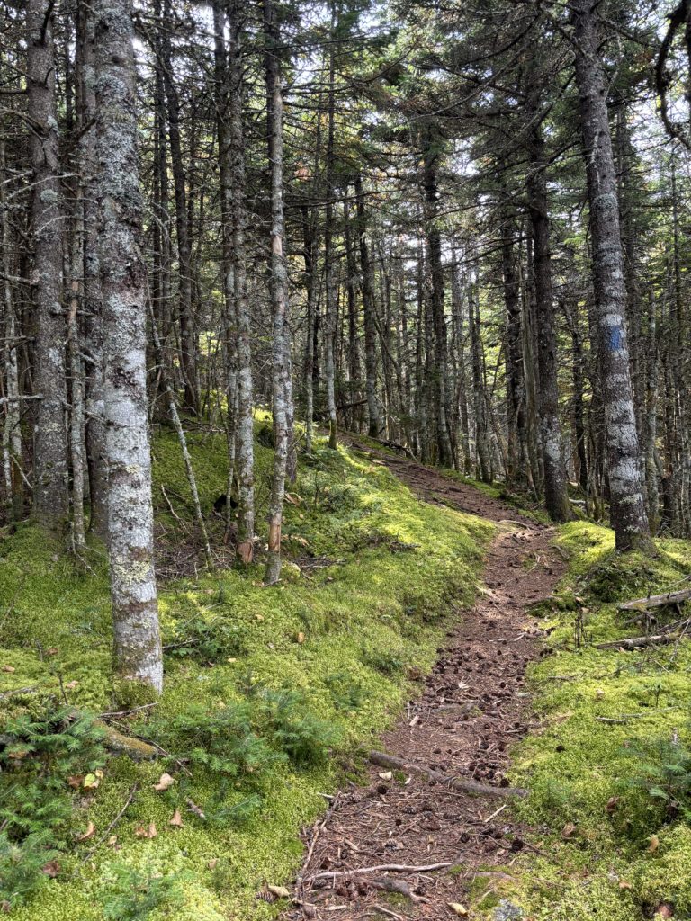 Grafton Loop Trail, Grafton Notch, Maine