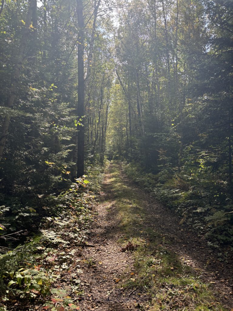 Old road along the Grafton Loop Trail, Grafton Notch, Maine